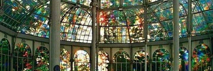 Little Genius banner