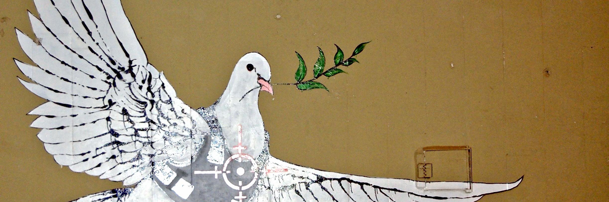 MC Peace Studies banner