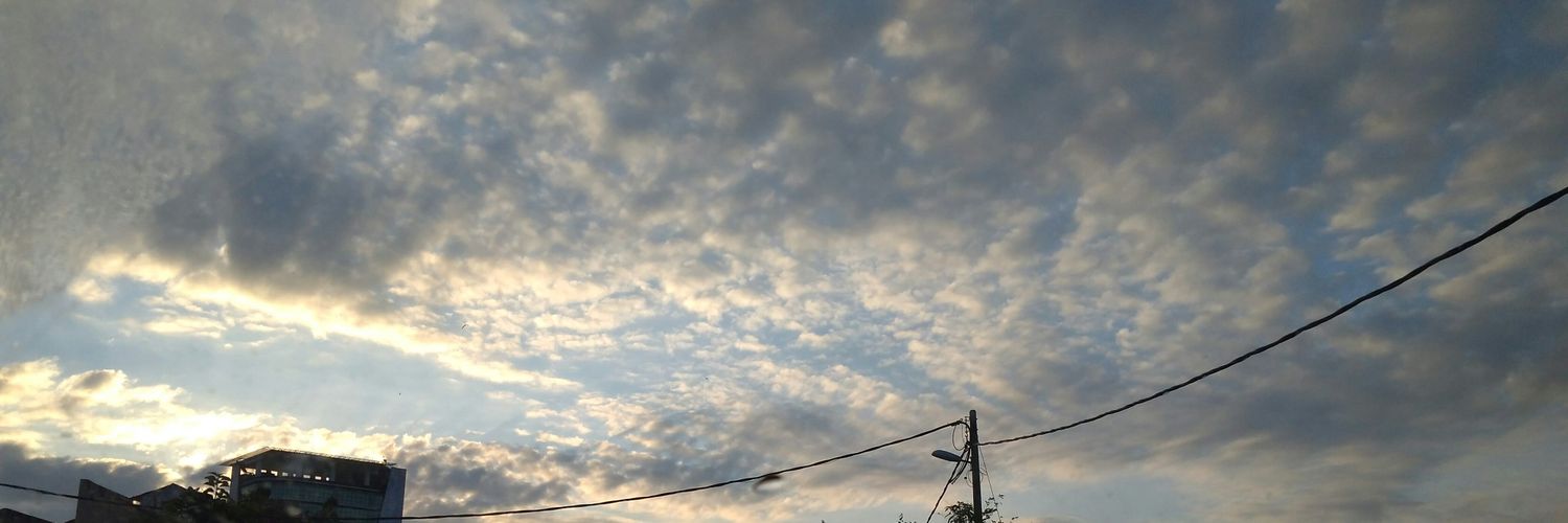 derplum's profile banner image