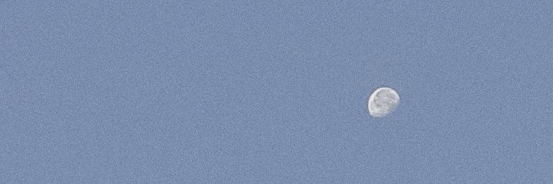 bookishroses's profile banner image