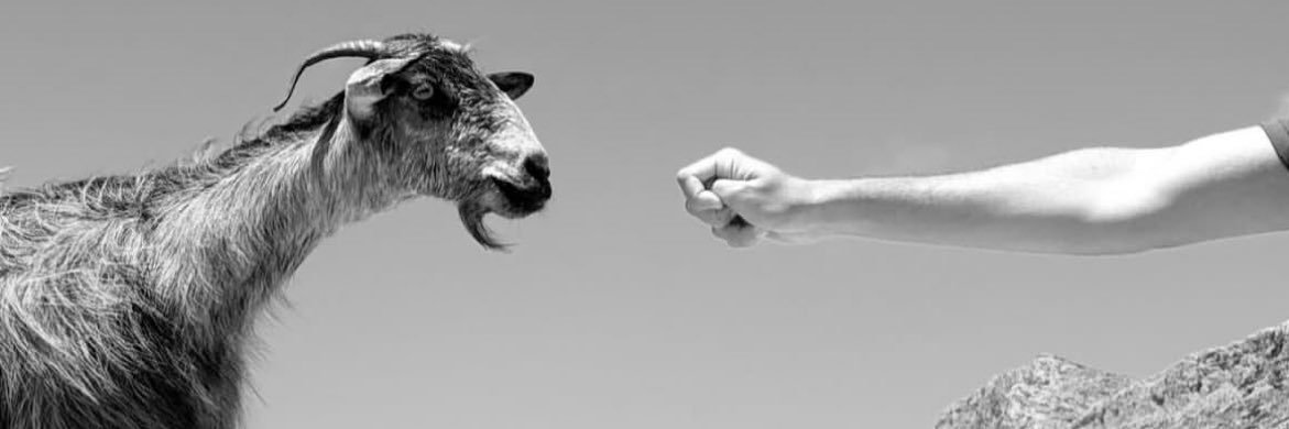 m banner