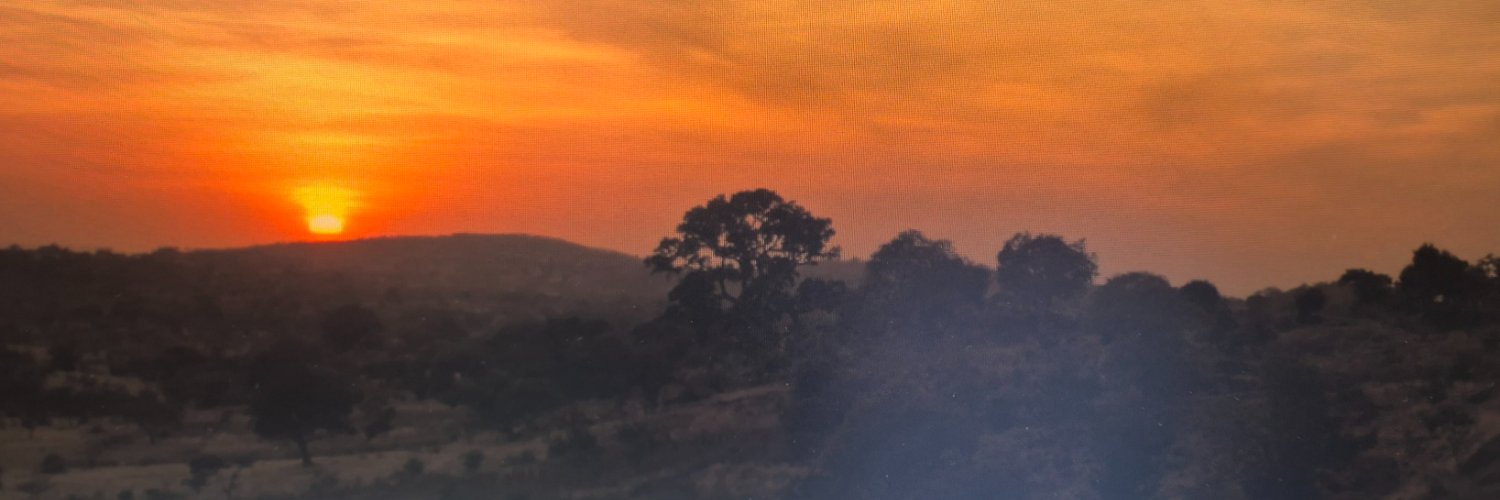 Kali banner