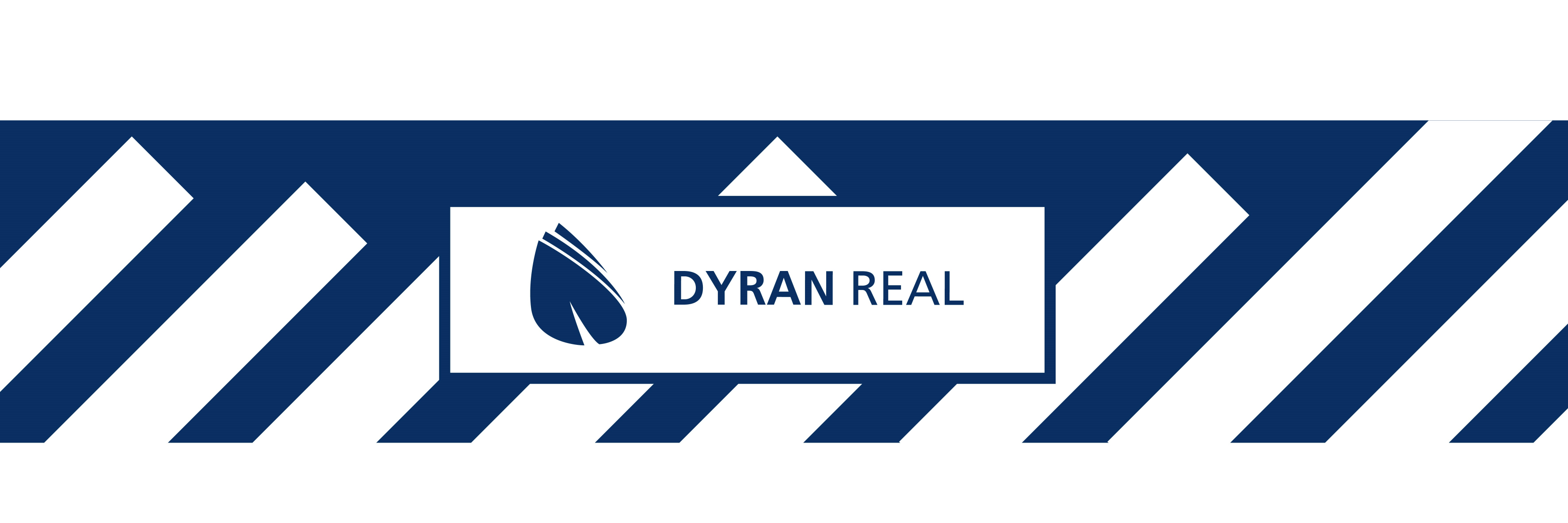 DyranReal's profile banner image