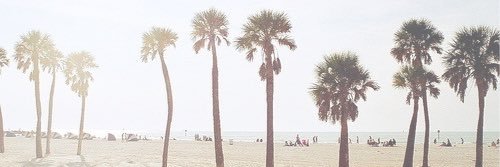 RileyFoSheezzzy's profile banner image