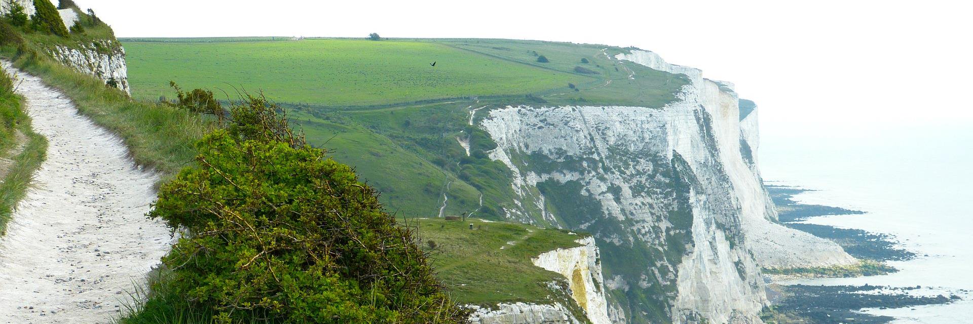 SE Thames Faculty banner
