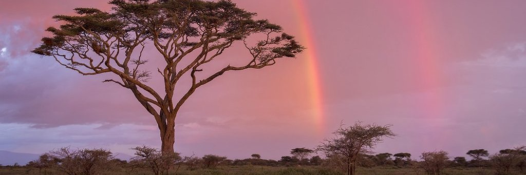 GODgifted_NT's profile banner image