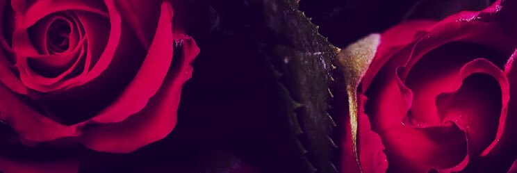 nururu_az's profile banner image