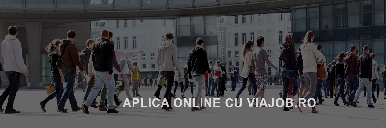 ViajobRomania's profile banner image