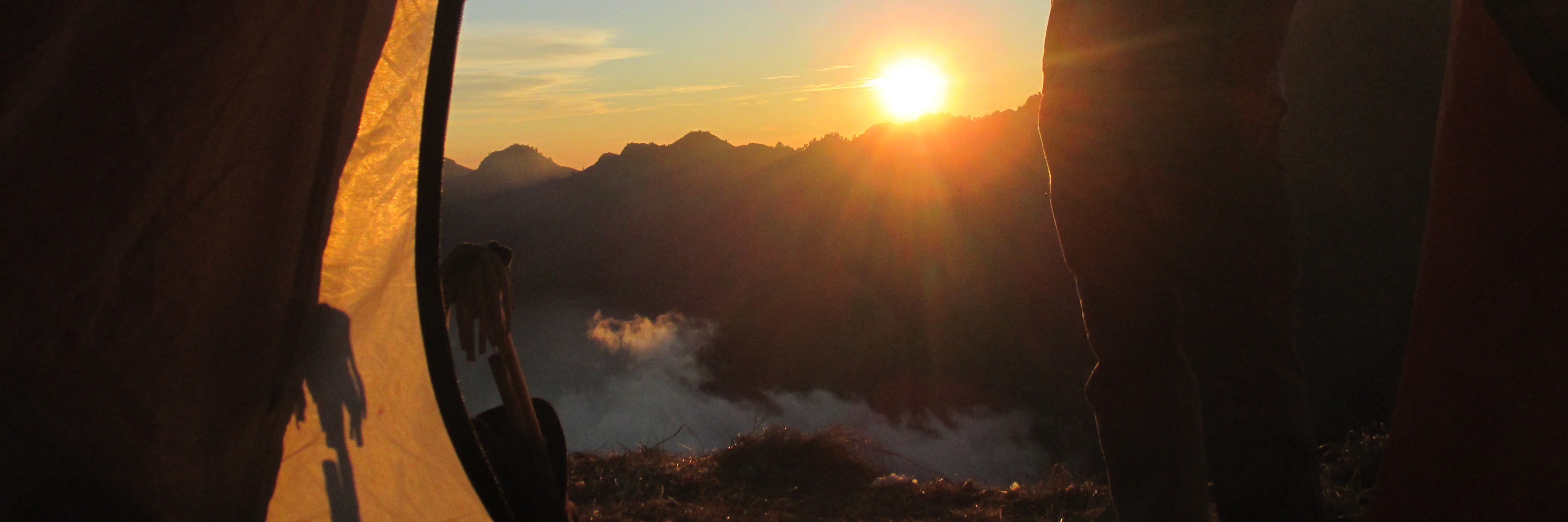 driesdekoster banner