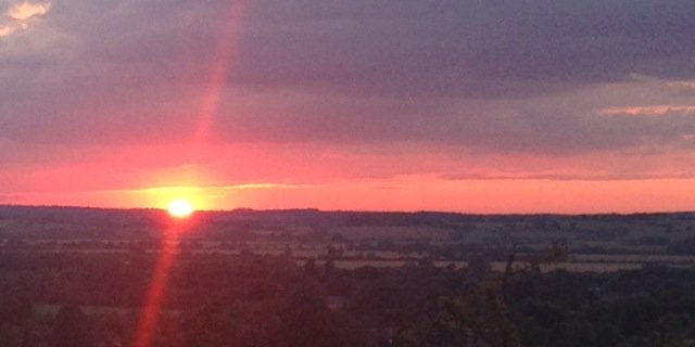 lisa casemore banner