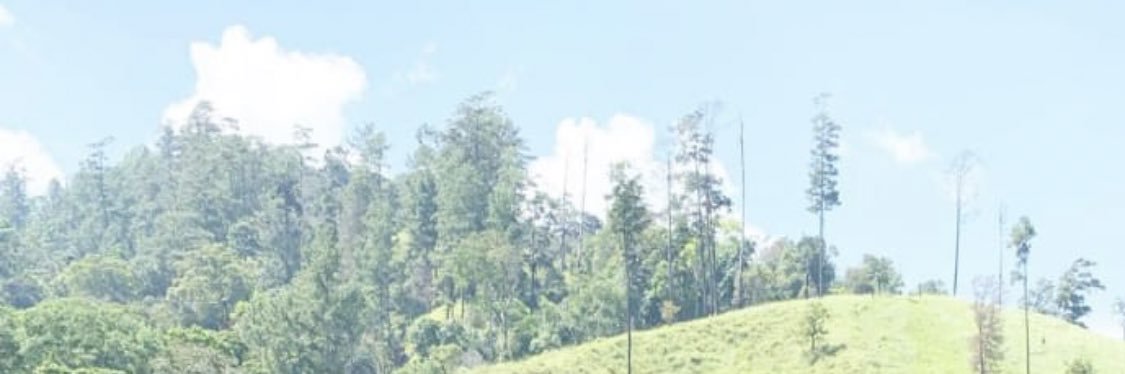 Lija banner