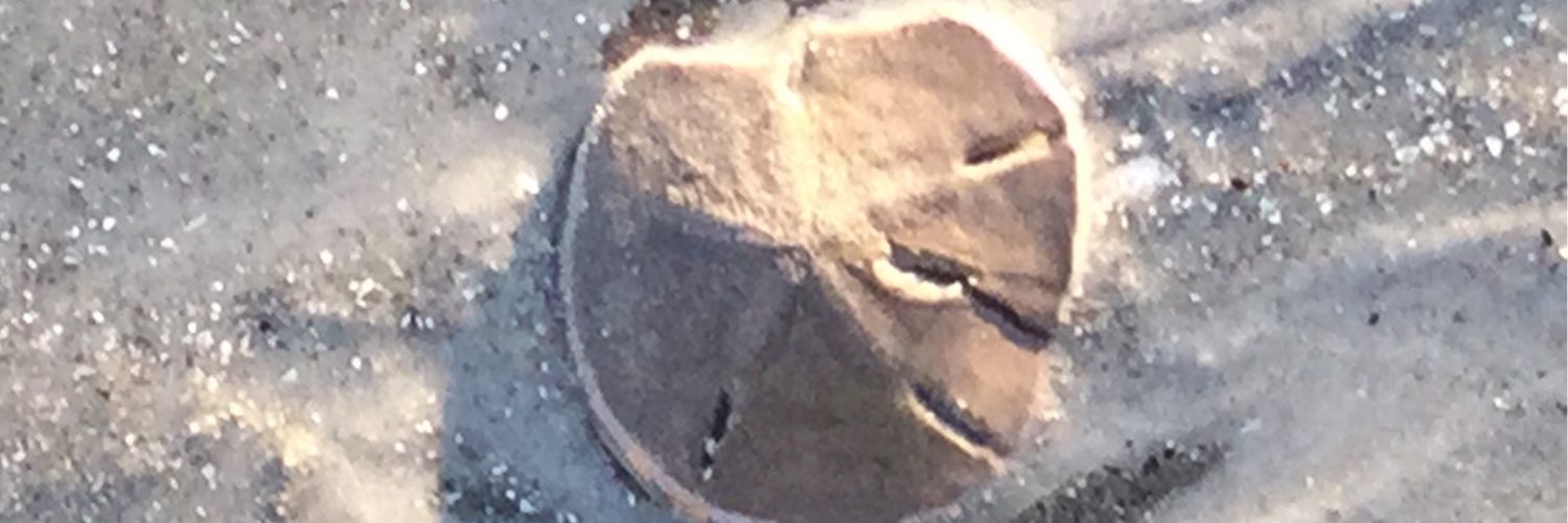 Lori banner