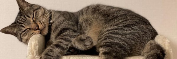 naopr Profile Banner