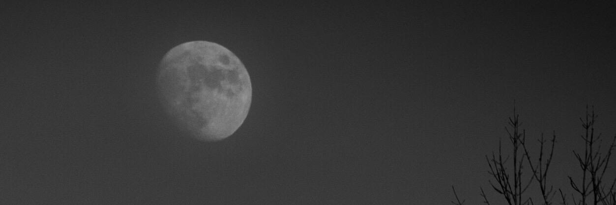 arnav mukherjee banner