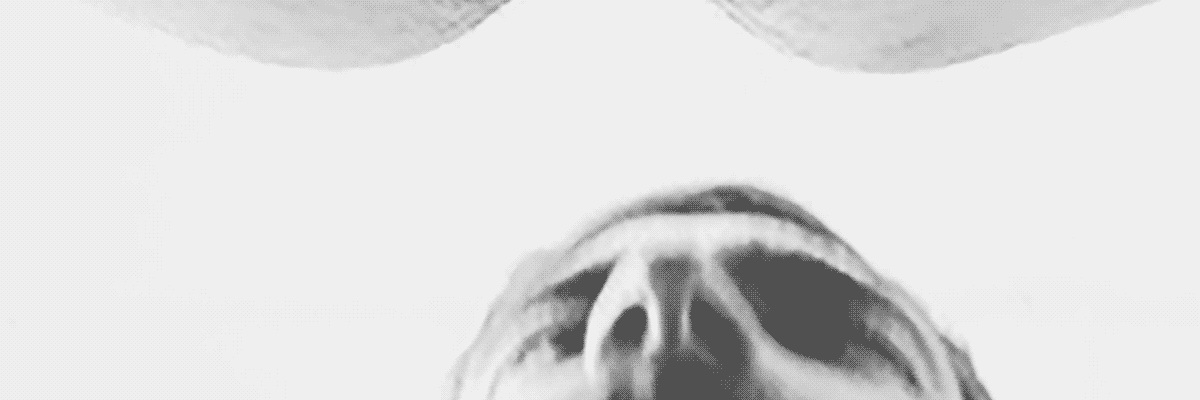 guystodo's profile banner image