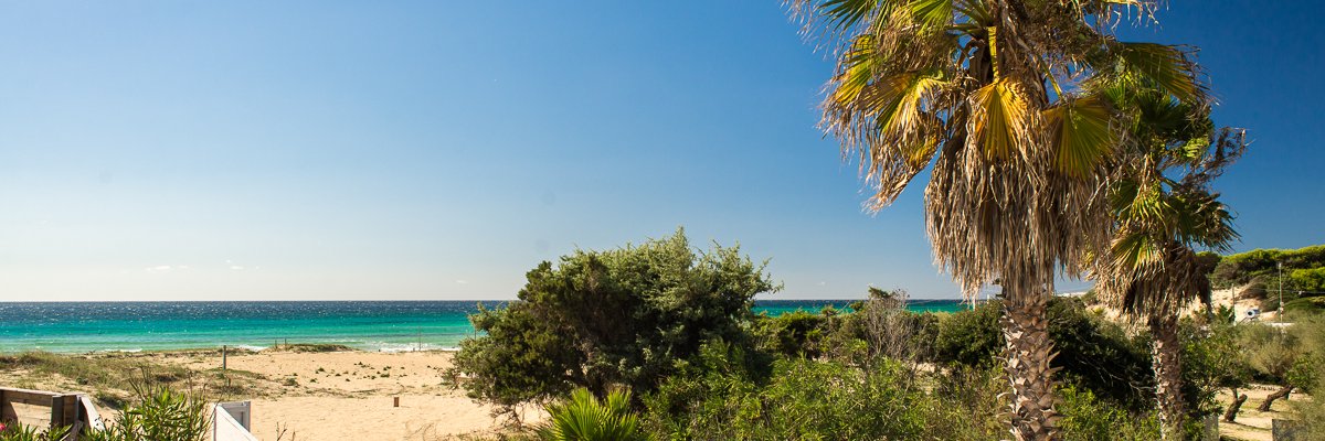 fabioingrosso's profile banner image