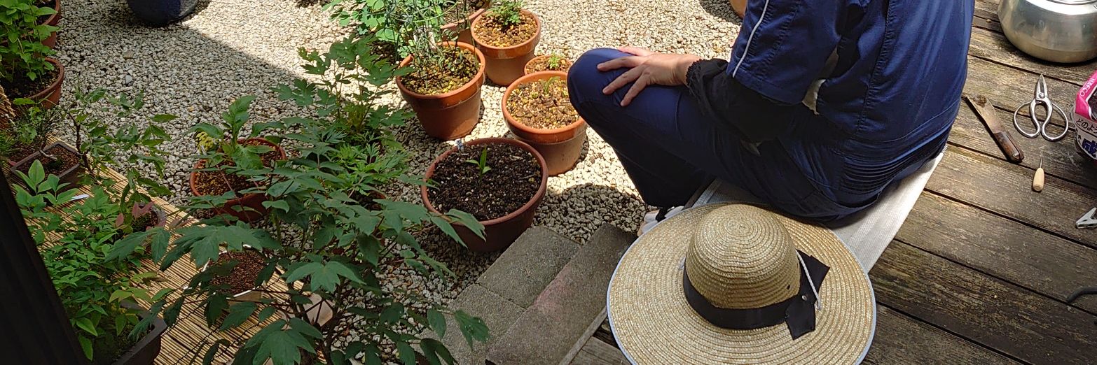 桂 文五郎 banner