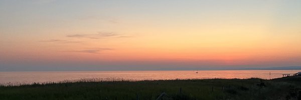 yellowsdope Profile Banner