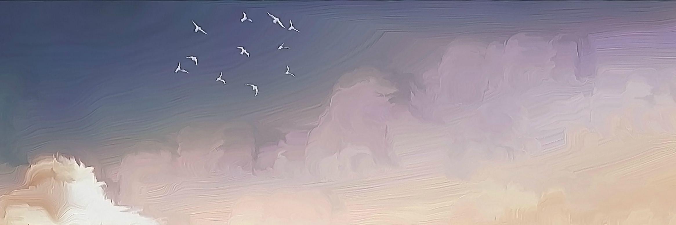 StormedRider's profile banner image