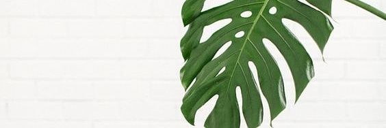 er_tanto's profile banner image