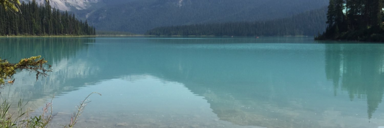 Maria Moreira banner