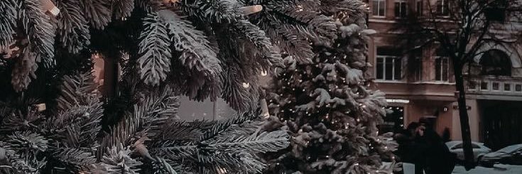 brandnewljfe's profile banner image