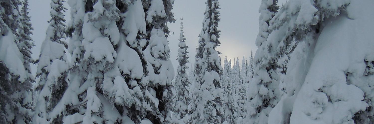 way2stop's profile banner image