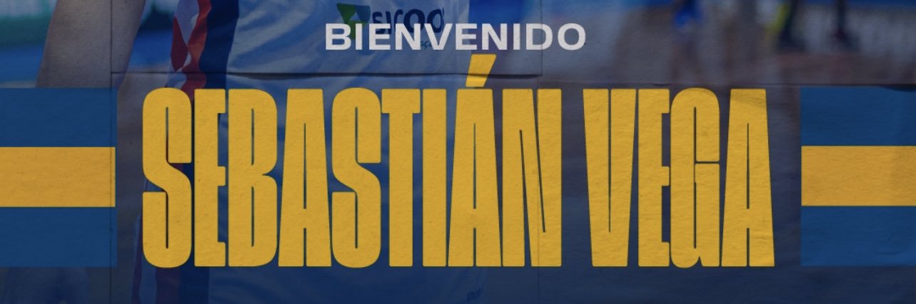Seba Vega's banner