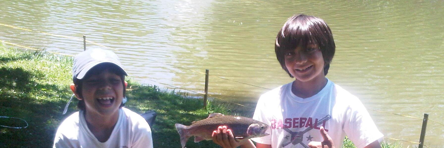 Cheryl Madeira banner