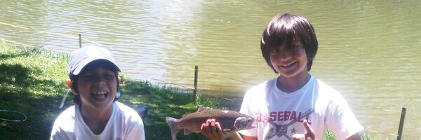 madeirc Profile Banner