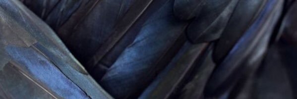 raafmusic's profile banner image
