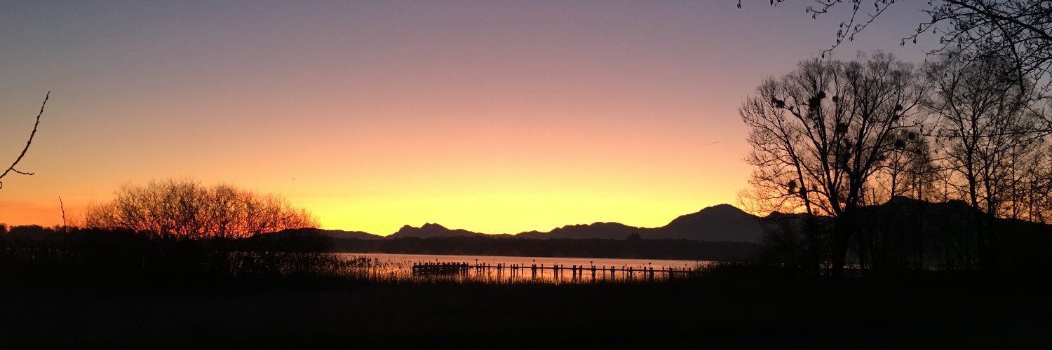 Christian Wernicke banner