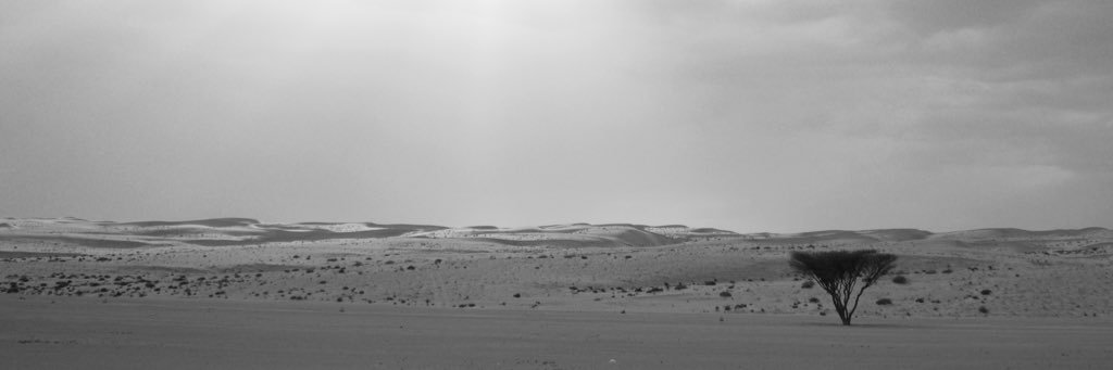 slow_bage's profile banner image