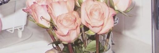 lanadel's profile banner image