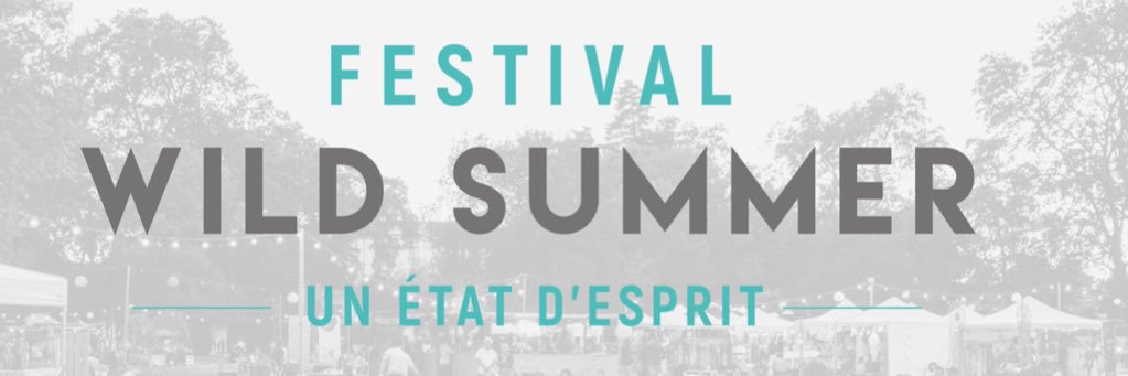 Wild Summer Festival banner