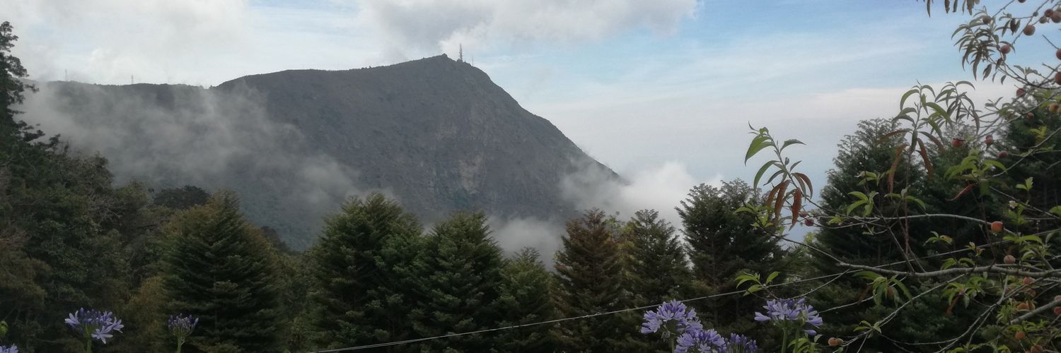 Stephanie Suárez banner