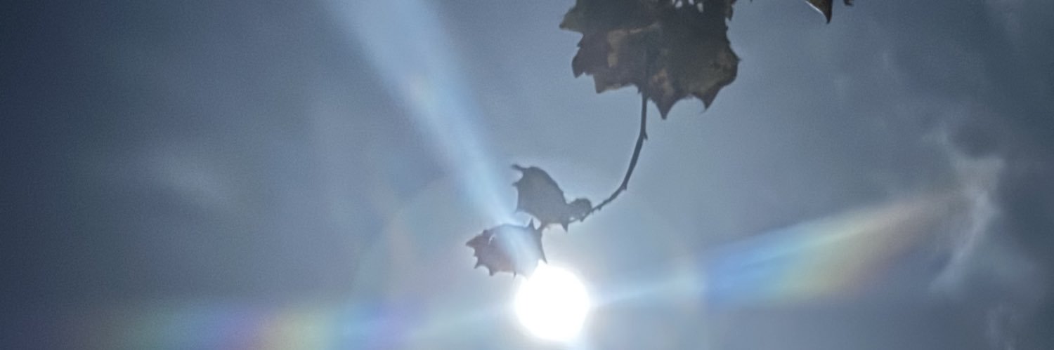 NathenNavarro's profile banner image