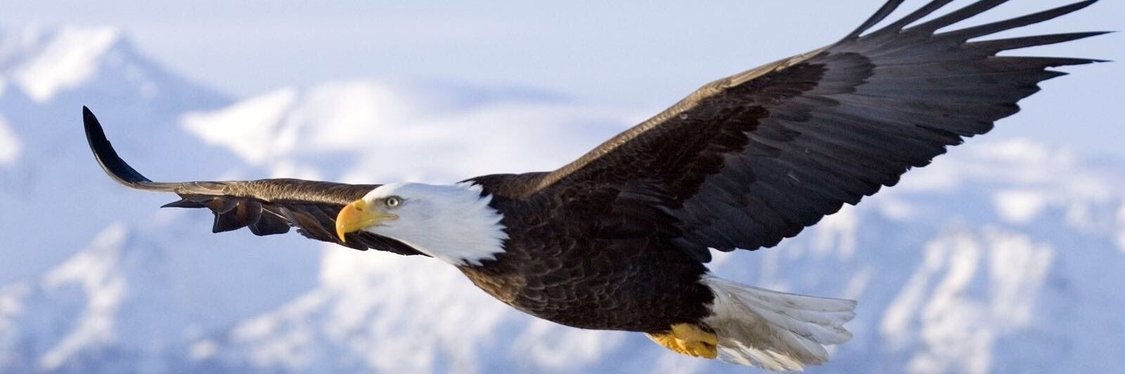 omerpols's profile banner image