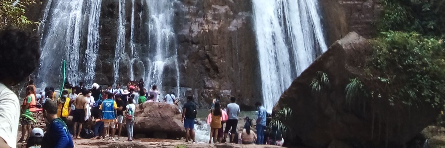 Coconut banner
