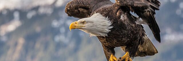 96Bacak's profile banner image