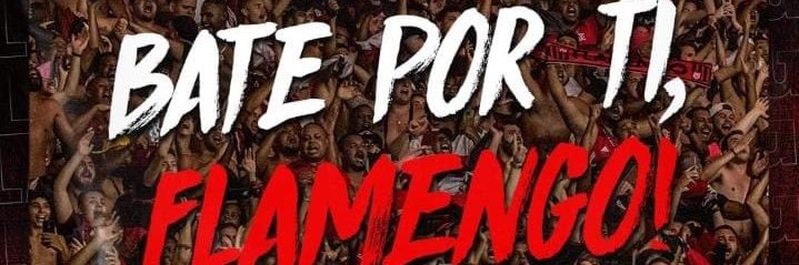 sociedadecelo's profile banner image