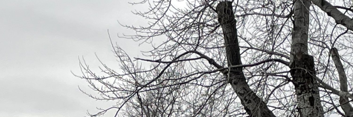 brbbixx's profile banner image