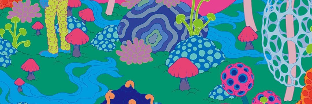 ibelli's profile banner image