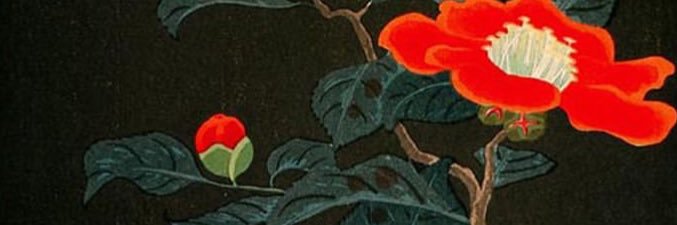 ❀ destroyme.bsky.social ❀ banner