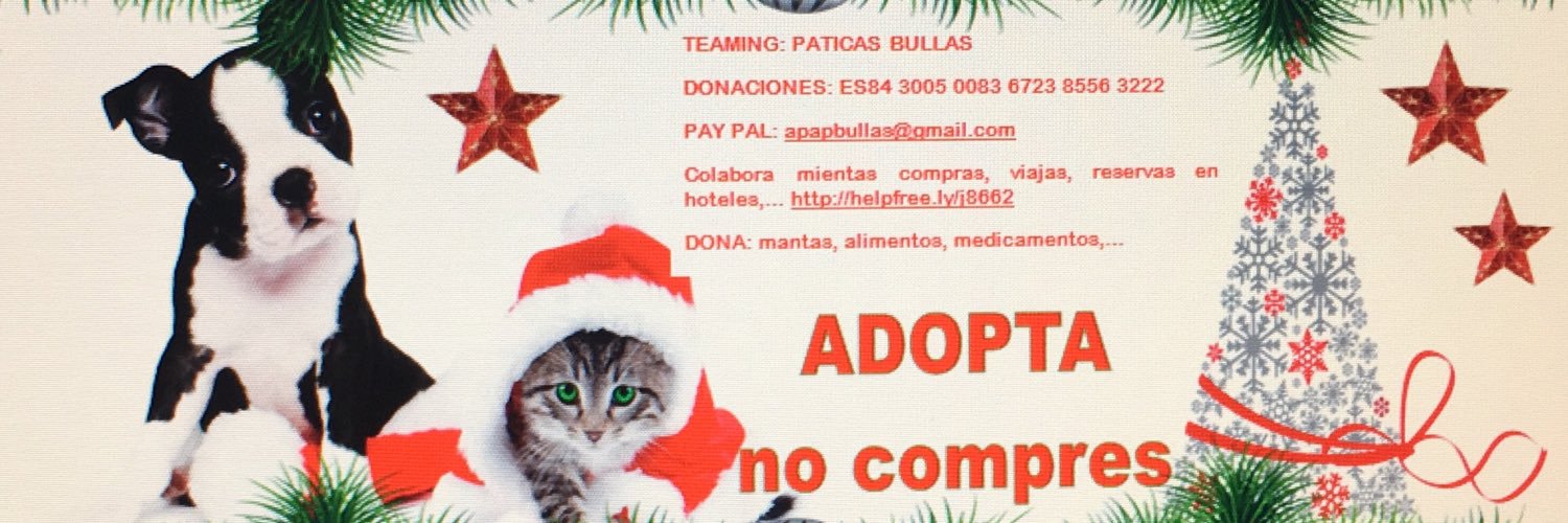 Paticas_Bullas banner