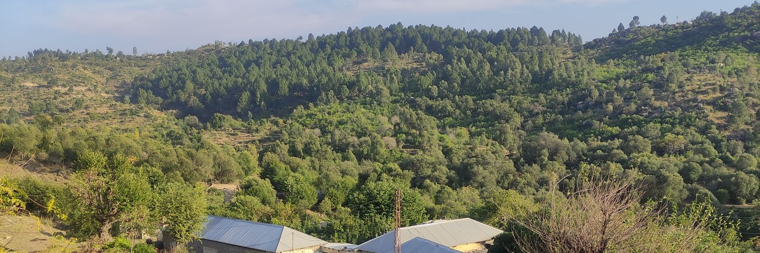 adilsaeed56's profile banner image