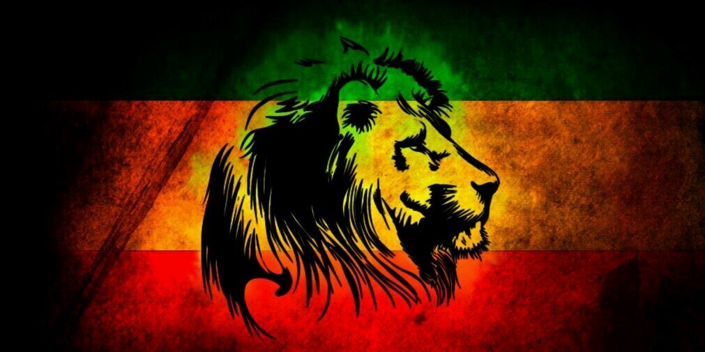 david13telhu's profile banner image