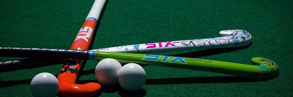 Kari DiGiulio banner