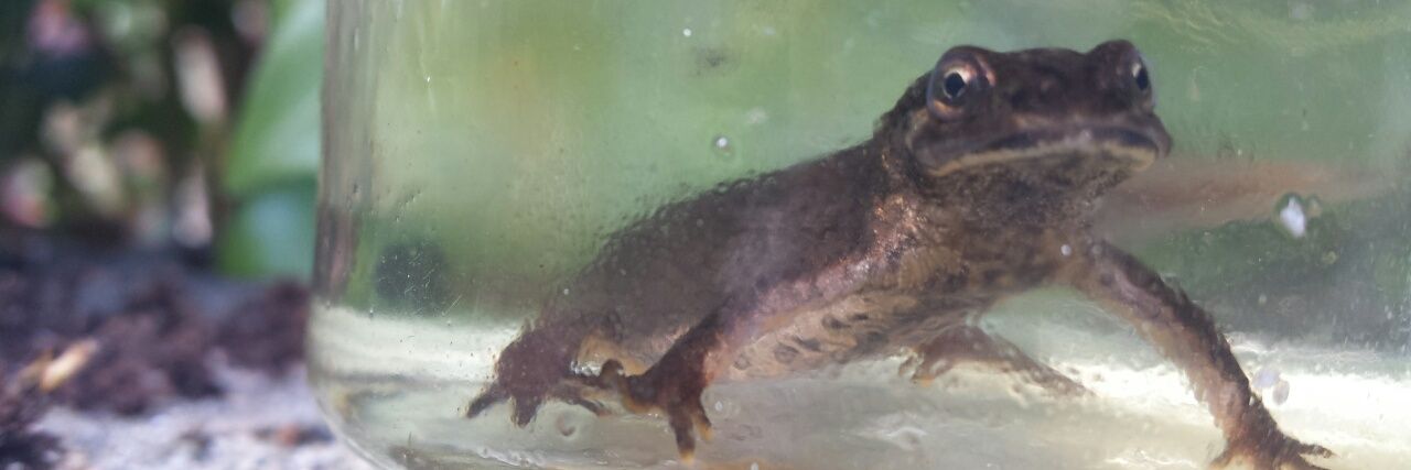 🐠 Rory Sheehan 🐠 banner