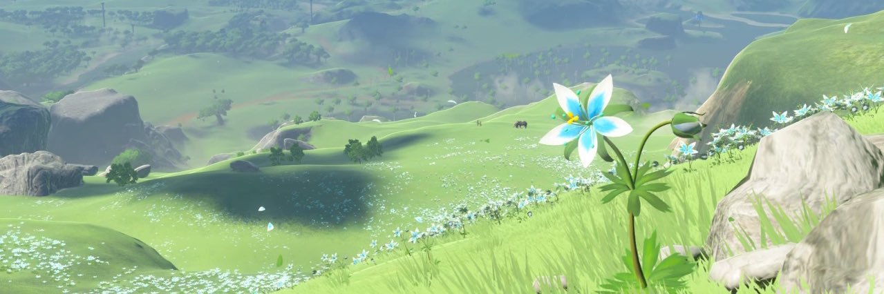 Ruyfhaver's profile banner image